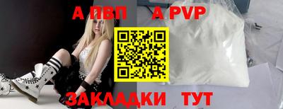 стаф Новокубанск