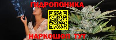 эйфоретик Обь