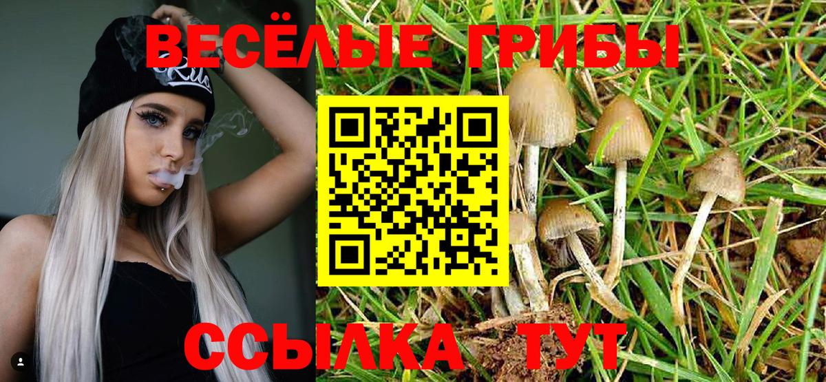Псилоцибиновые грибы ЛСД Пыть-Ях