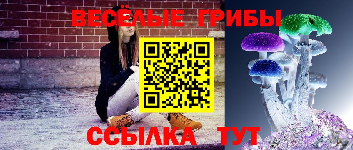 Пыть-Ях  Галлюциногенные грибы GOLDEN TEACHER  Вход с VPN 
